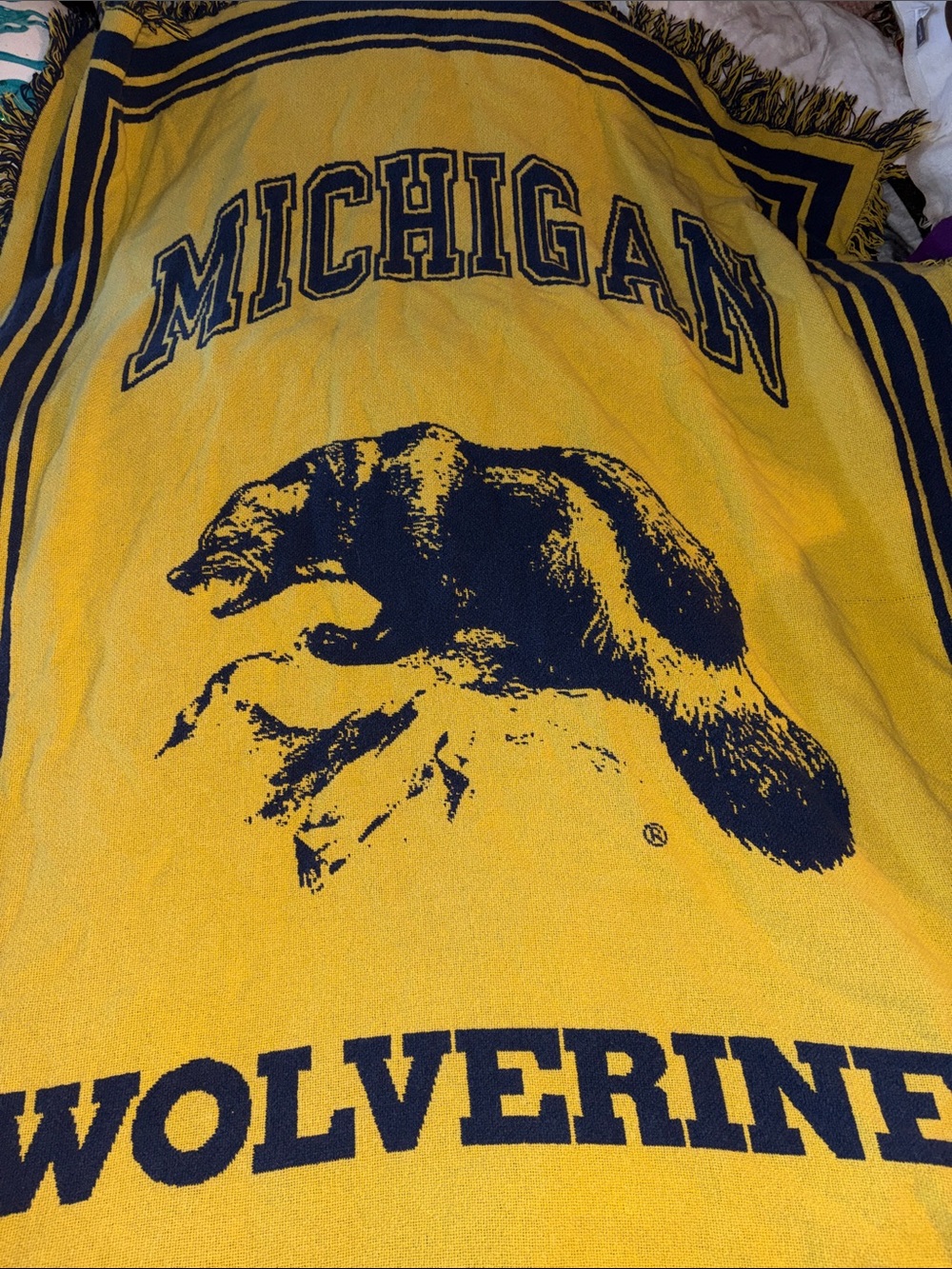 Michigan Wolverines Yellow and Navy Home Vintage Throw Blanket